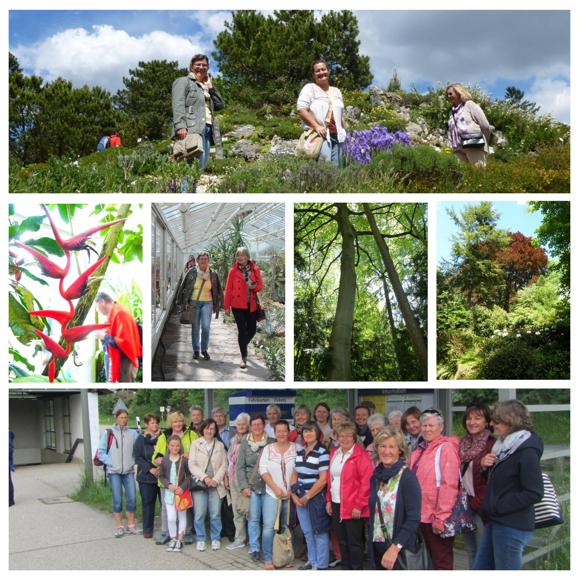 Bilder von besonderen Pflanzen und einer Reisegruppe im Botanischen Garten.